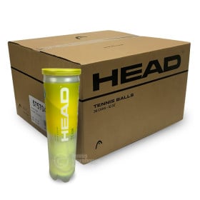 Head Team Box of Balls (36 x 4 Ball Cans)