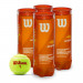 Wilson US Open Orange Tournament Jr (4 x 3 Ball Cans)