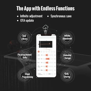 Dual Control System